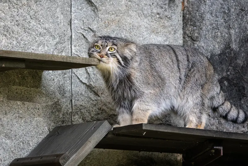 A photograph of Timofey in Moscow zoo