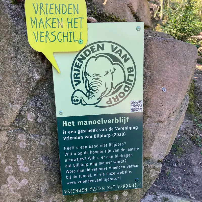 A photograph of a Pallas's cat in Rotterdam Zoo