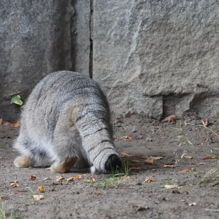 A photograph of Timofey in Moscow zoo