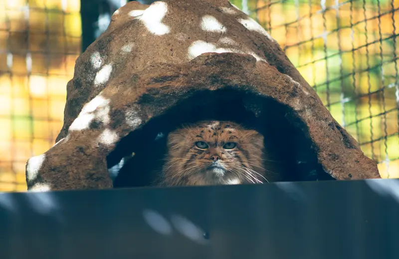A photograph of Melissa in Lithuanian Zoo