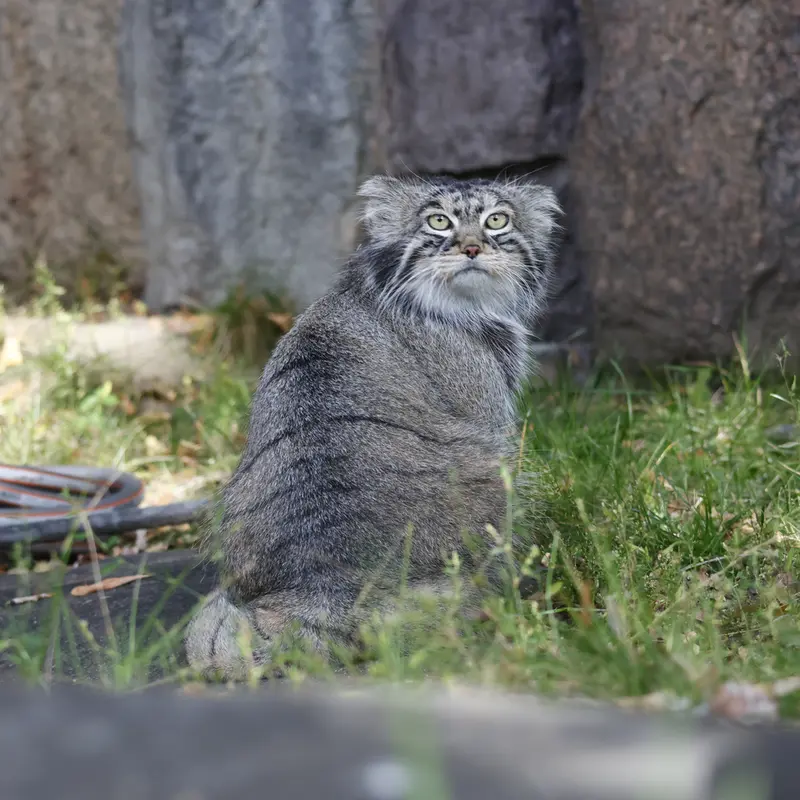 A photograph of Timofey in Moscow zoo