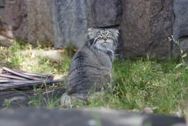 A photograph of Timofey in Moscow zoo