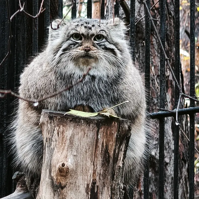 A photograph of Anya in Novosibirsk Zoo