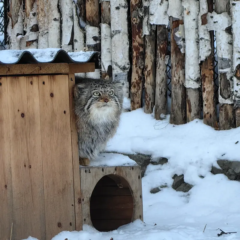 A photograph of Eve in Novosibirsk Zoo