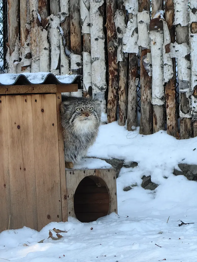 A photograph of Eve in Novosibirsk Zoo