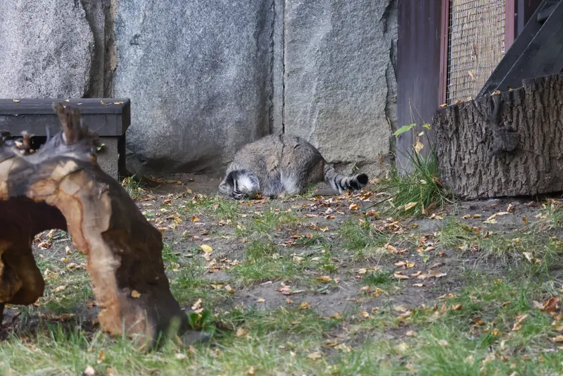 A photograph of Timofey in Moscow zoo
