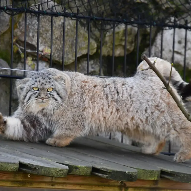 A photograph of Aaron in Bio-Topia Dunkerque