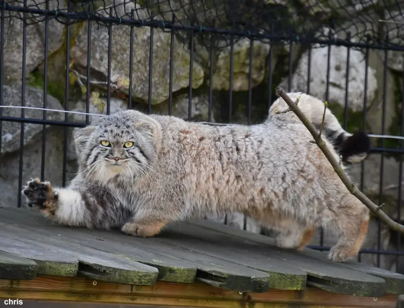 A photograph of Aaron in Bio-Topia Dunkerque