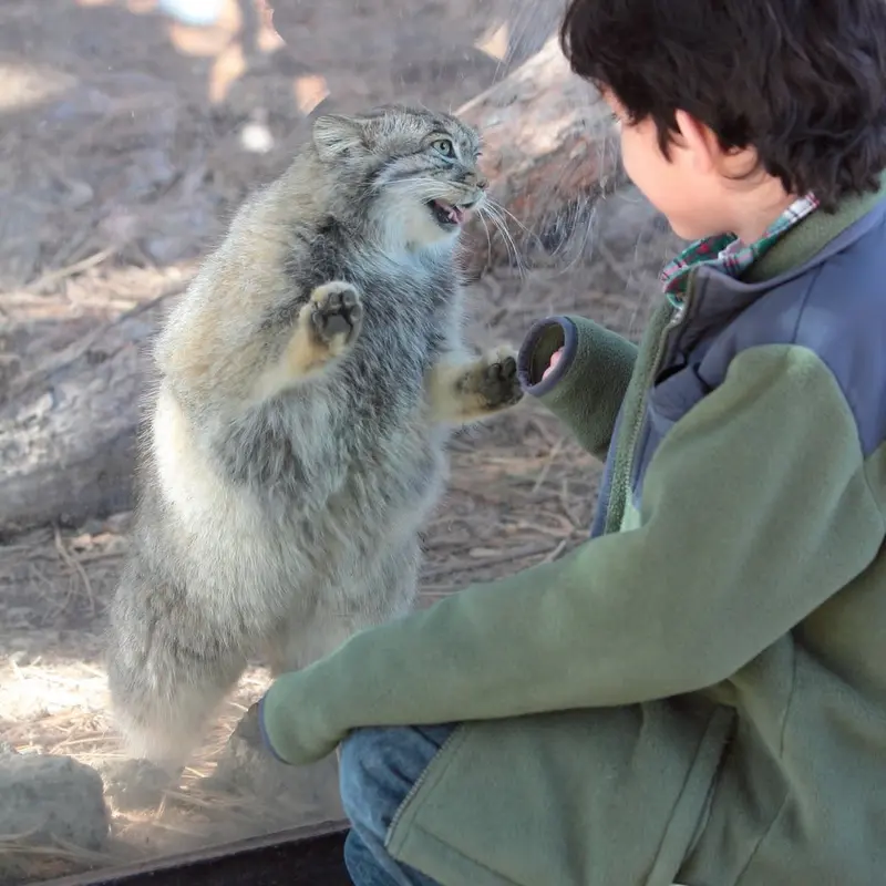 A photograph of Nadia in Cheyenne Mountain Zoo
