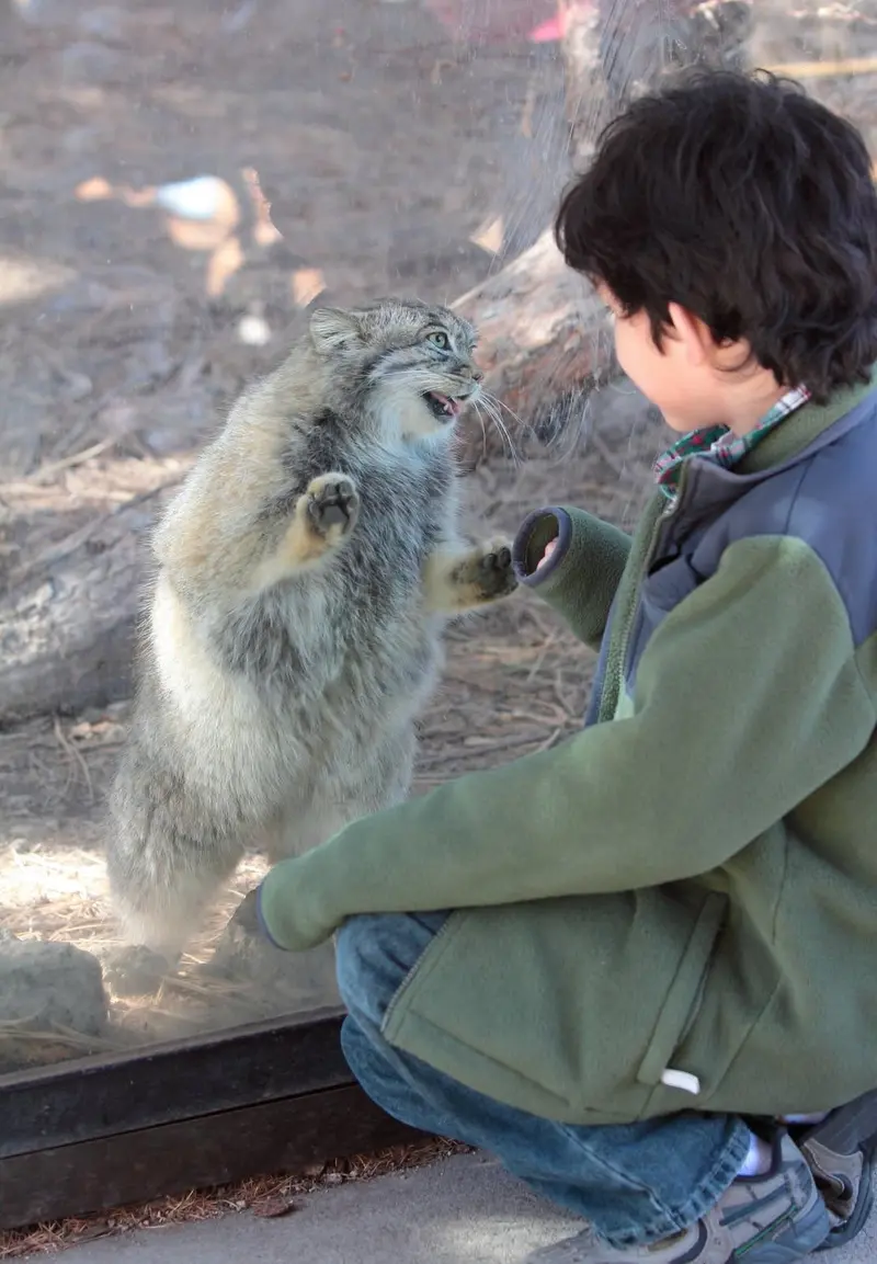 A photograph of Nadia in Cheyenne Mountain Zoo