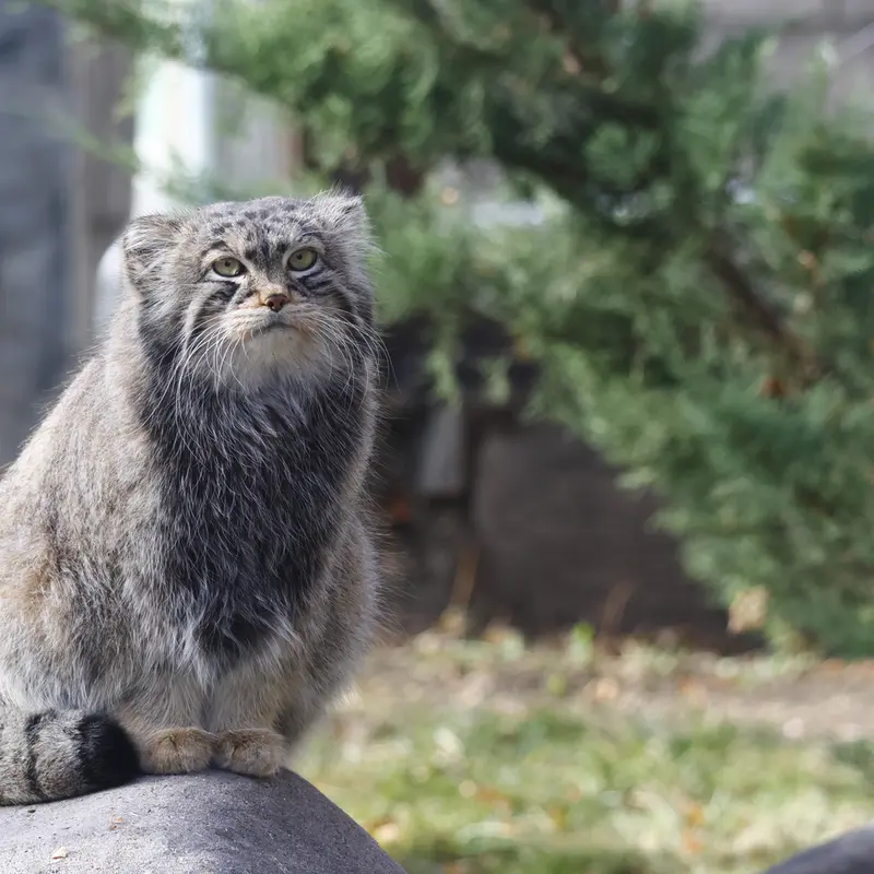 A photograph of Timofey in Moscow zoo