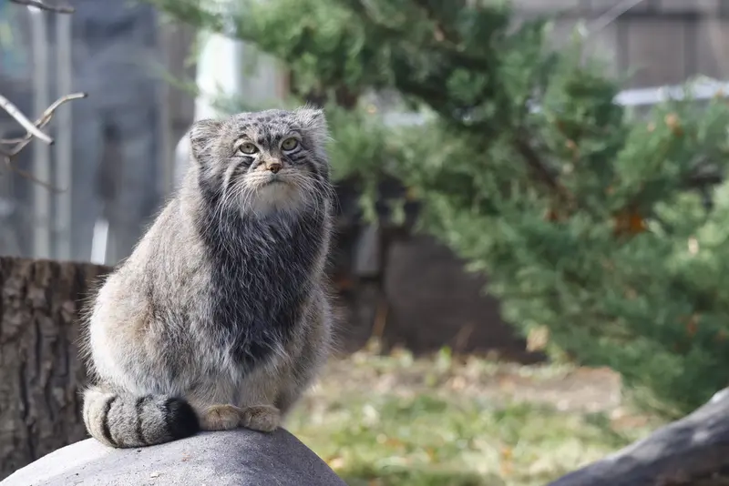 A photograph of Timofey in Moscow zoo