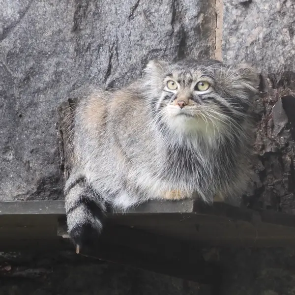 A photograph of Timofey in Moscow zoo