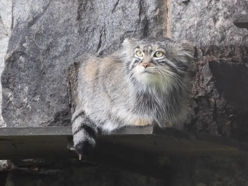 A photograph of Timofey in Moscow zoo