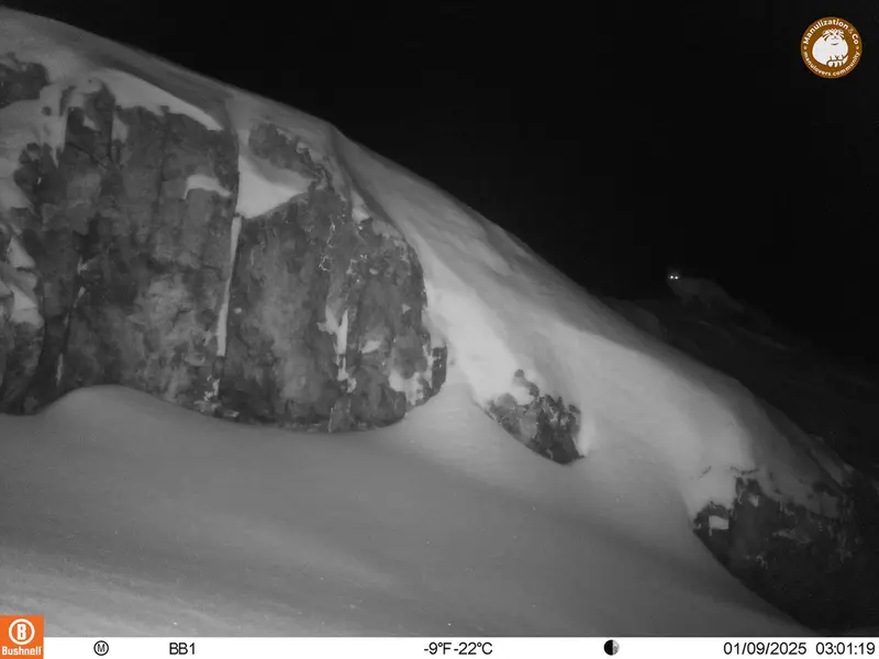 A photograph of Red fox from Aktas-Kunkora camera trap