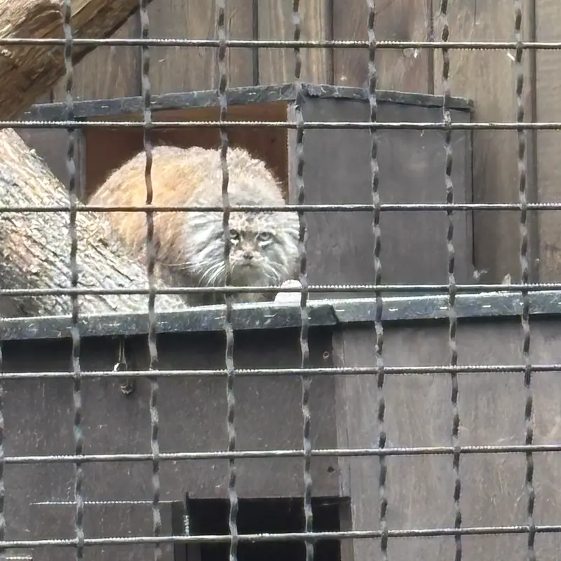 A photograph of Jessie in Warsaw Zoo