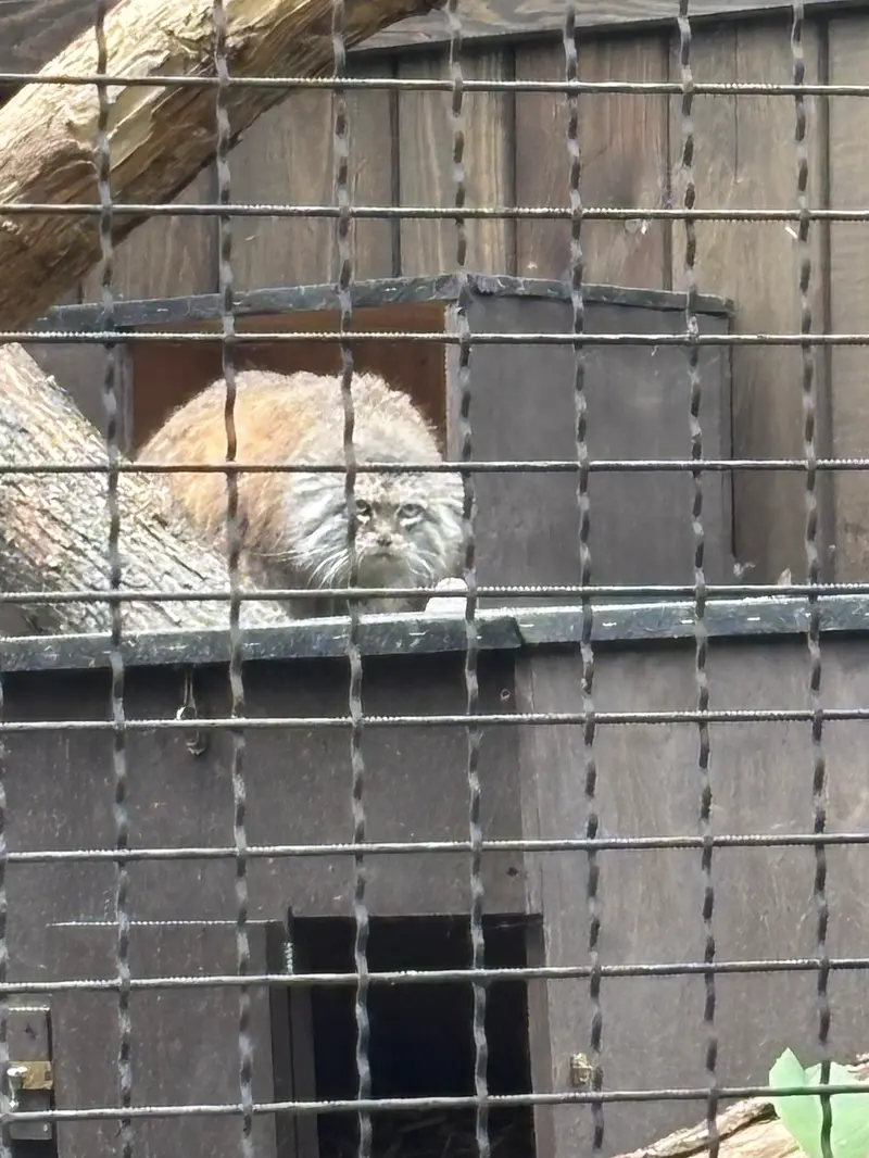 A photograph of Jessie in Warsaw Zoo