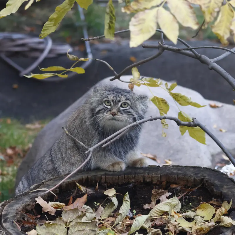 A photograph of Timofey in Moscow zoo