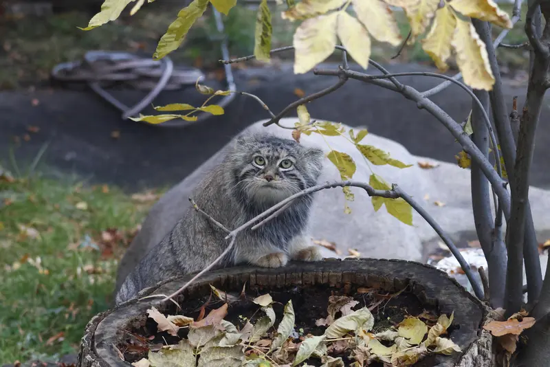 A photograph of Timofey in Moscow zoo