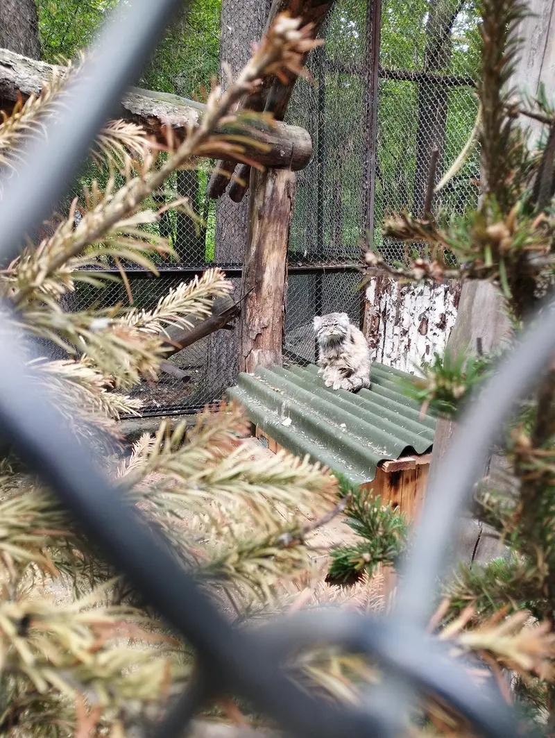 A photograph of Zelenogorsk in Novosibirsk Zoo