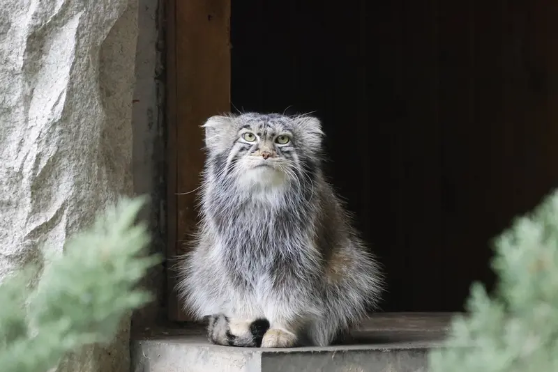 A photograph of Timofey in Moscow zoo