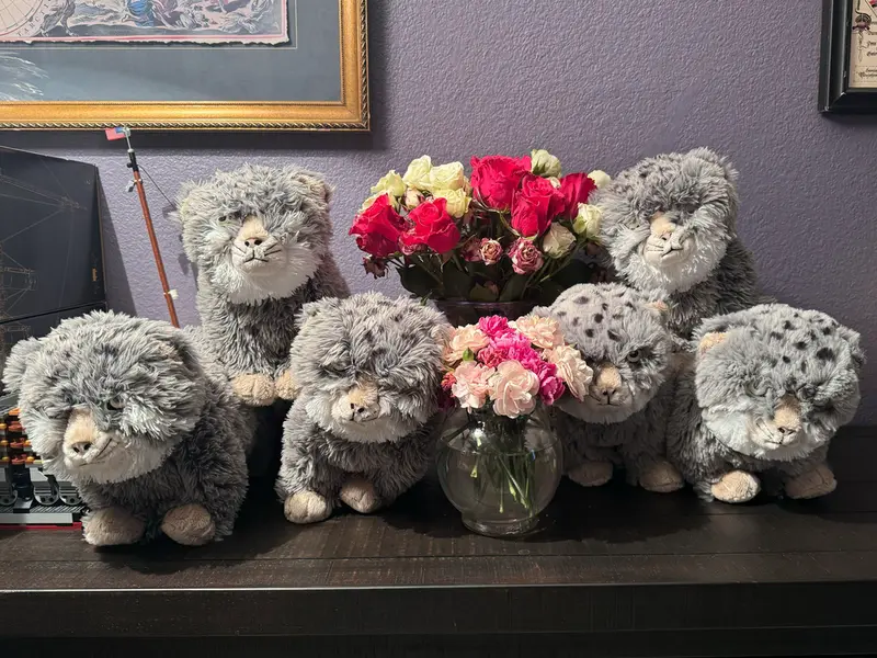 All my IKEA Manus!