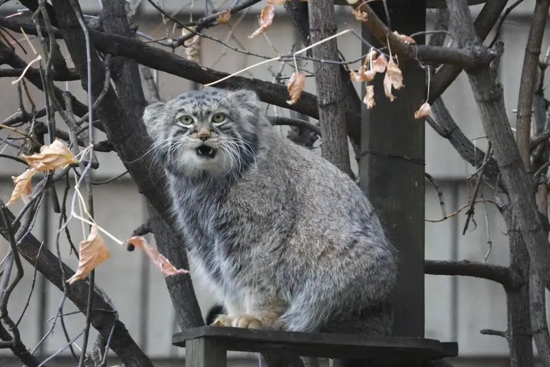 A photograph of Timofey in Moscow zoo