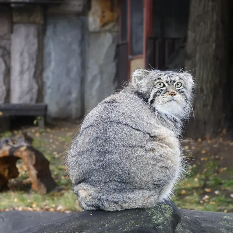 A photograph of Timofey in Moscow zoo