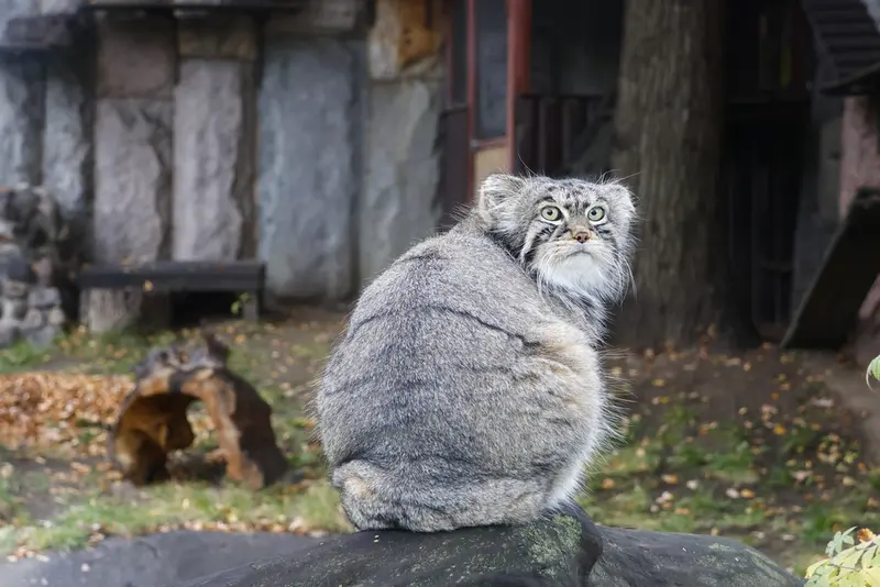 A photograph of Timofey in Moscow zoo