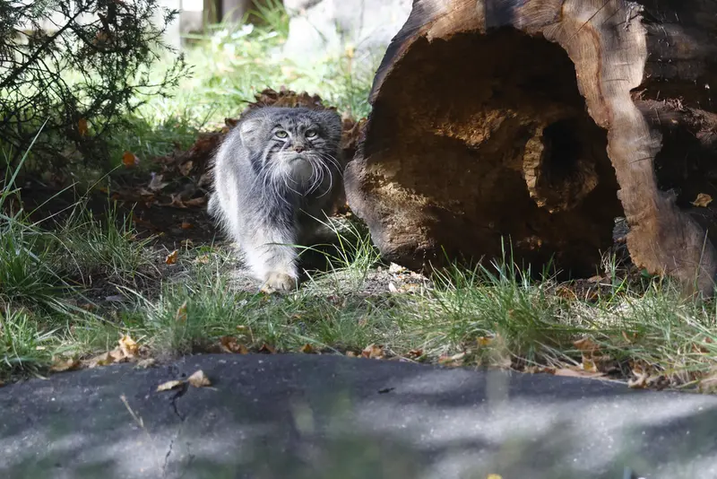 A photograph of Timofey in Moscow zoo