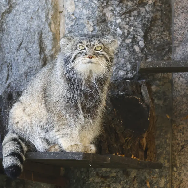 A photograph of Timofey in Moscow zoo