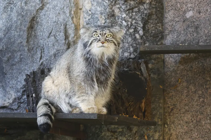 A photograph of Timofey in Moscow zoo