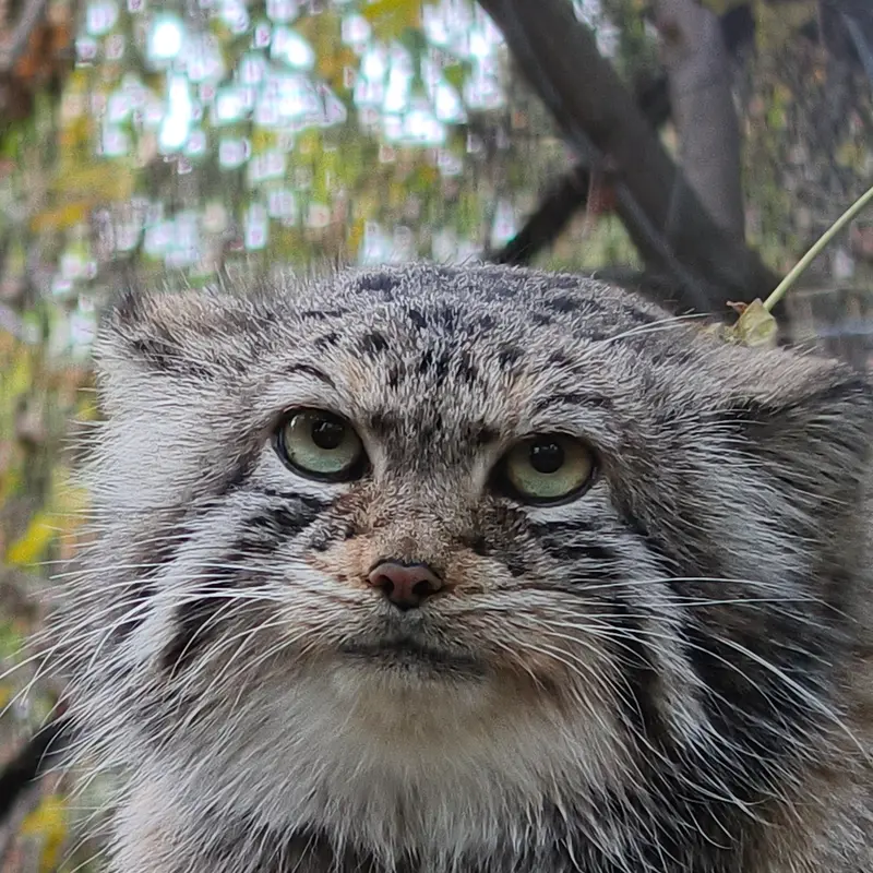 A photograph of Eve in Novosibirsk Zoo
