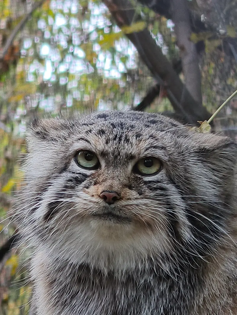 A photograph of Eve in Novosibirsk Zoo