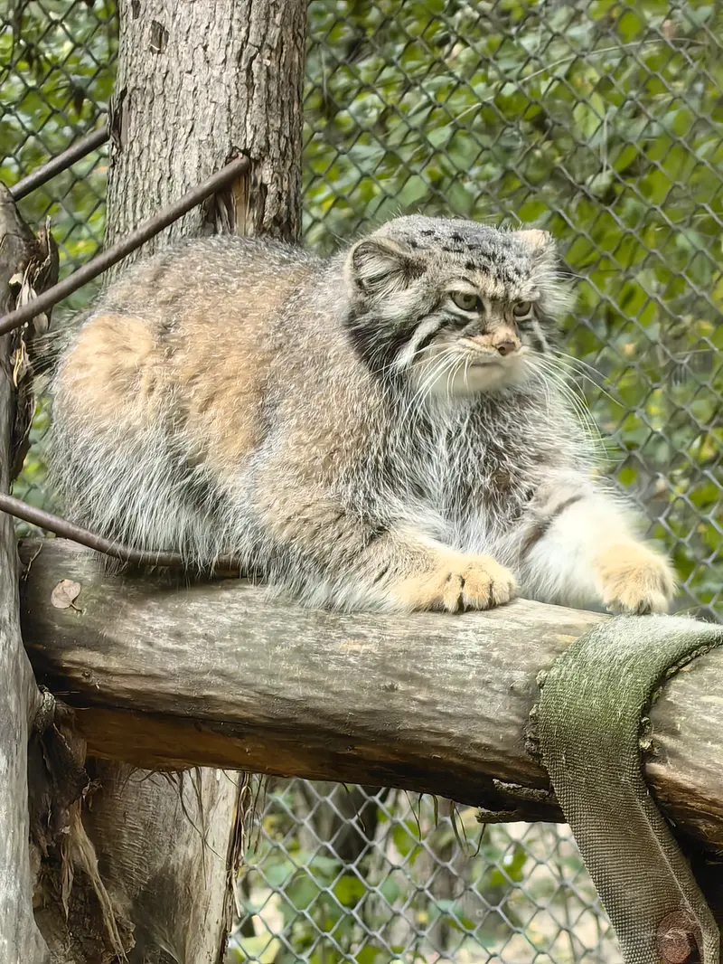 A photograph of Eve in Novosibirsk Zoo