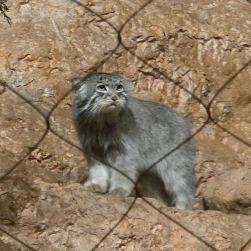 A photograph of Johan in Brookfield Zoo Chicago
