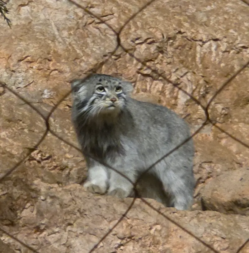 A photograph of Johan in Brookfield Zoo Chicago