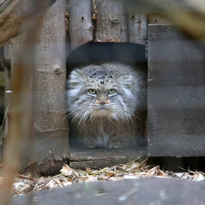 A photograph of Jessie in Warsaw Zoo