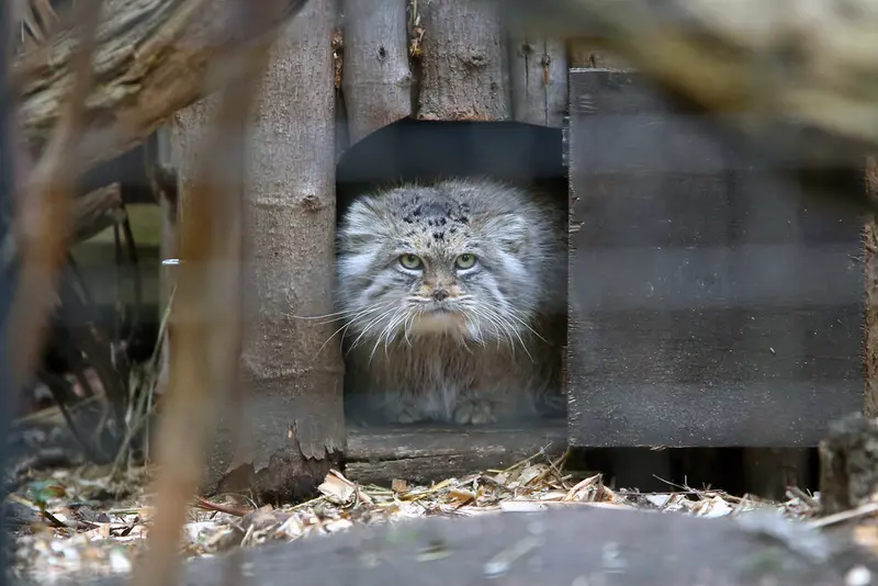 A photograph of Jessie in Warsaw Zoo