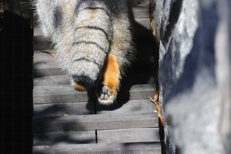 A photograph of Timofey in Moscow zoo