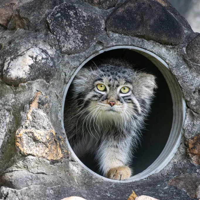 A photograph of Timofey in Moscow zoo