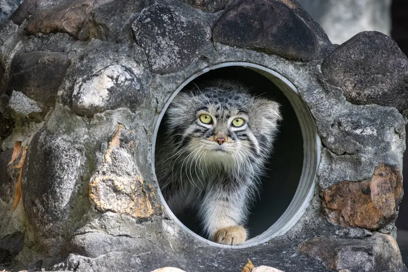 A photograph of Timofey in Moscow zoo