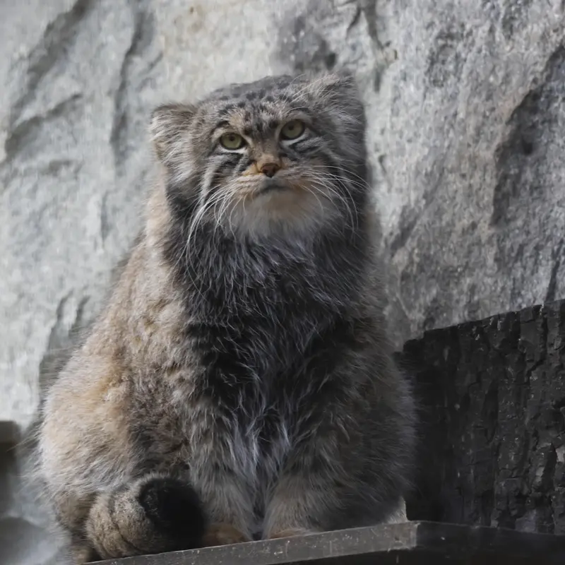 A photograph of Timofey in Moscow zoo
