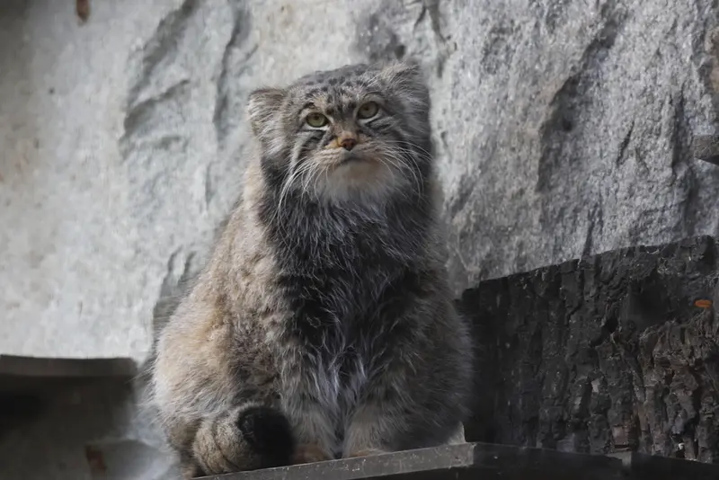 A photograph of Timofey in Moscow zoo