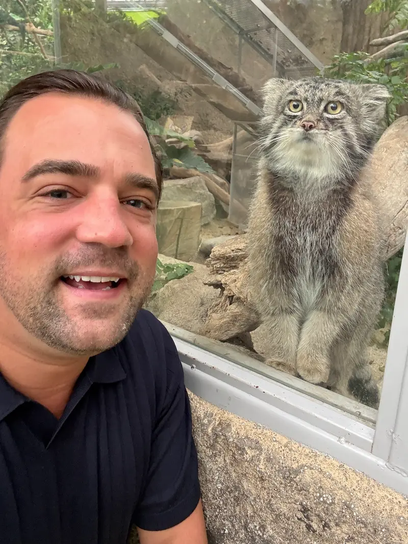 The Manul Tour of Japan - The Definitive Guide