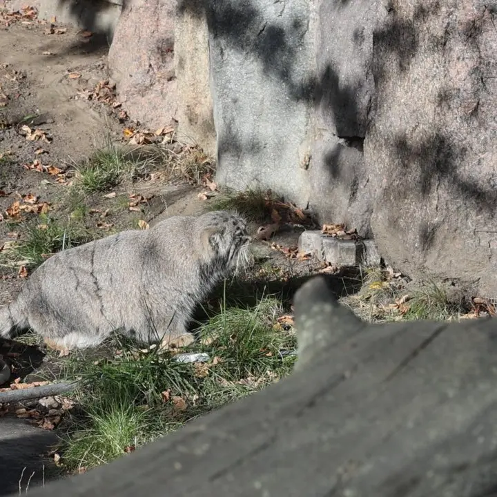 A photograph of Timofey in Moscow zoo