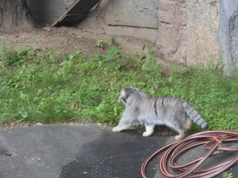 A photograph of Timofey in Moscow zoo