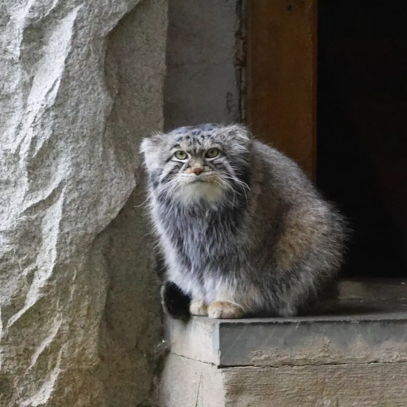 A photograph of Timofey in Moscow zoo