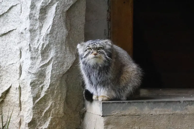 A photograph of Timofey in Moscow zoo