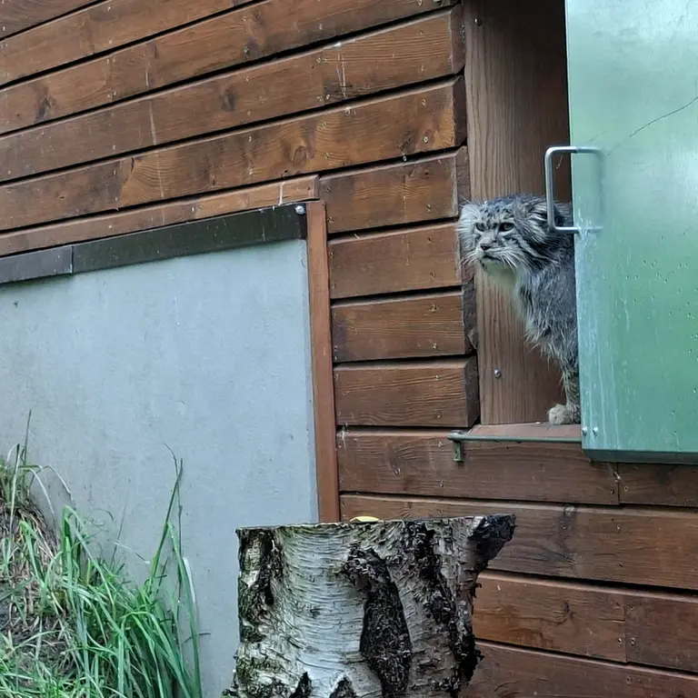A photograph of Manuel in Gdansk Zoo